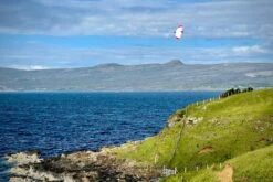 Dream-Flight Weasel-Trek 90cm -Model Toy Store dream flight weasel trek 90cm 20