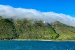 Dream-Flight Weasel-Trek 90cm -Model Toy Store dream flight weasel trek 90cm 30