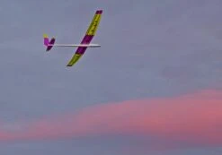 Inside F5J 2.9m -Model Toy Store inside f5j 2 9m 30