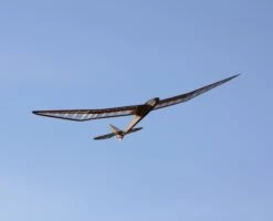 Micro Bird Of Time 1.2m -Model Toy Store micro bird of time 1 2m 40