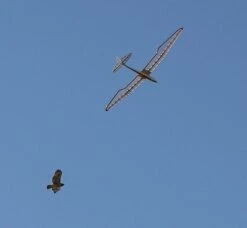 Micro Bird Of Time 1.2m -Model Toy Store micro bird of time 1 2m 45