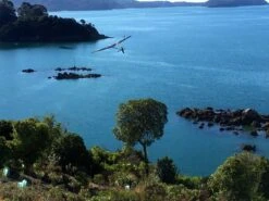 Vortex 3 1.5m DLG -Model Toy Store vortex 3 1 5m dlg 30